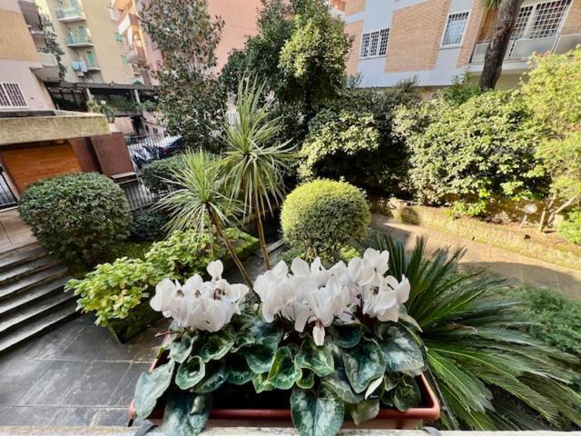 La Casa Delle Camelie Appartement Rome Buitenkant foto